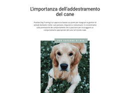 Il Tuo Amico Più Fedele - Miglior Modello HTML