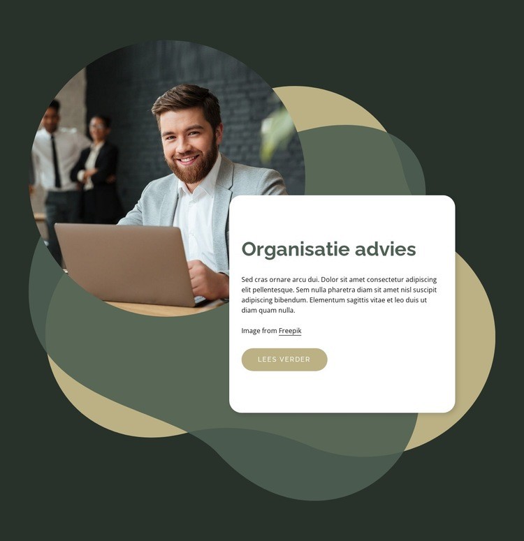 Advies op het gebied van mensen en organisaties Website mockup