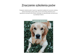 Twój Najbardziej Lojalny Przyjaciel