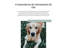 Seu Amigo Mais Leal - Design De Site Gratuito