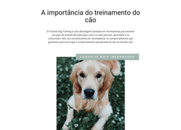 Inspiração De Site Para Seu Amigo Mais Leal