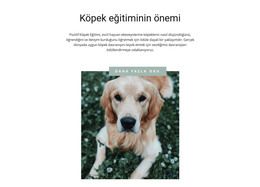 En Sadık Arkadaşın