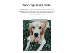 En Sadık Arkadaşın - Güzel HTML5 Şablonu