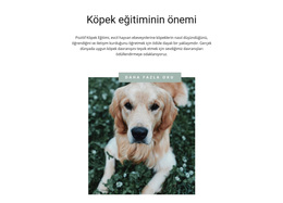 En Sadık Arkadaşın