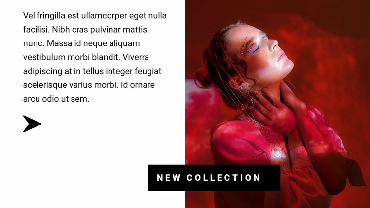 Collection in red colors Website Design