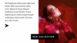 Collection In Red Colors Landing Page