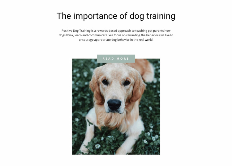 Your most loyal friend Website Template