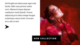 Collection In Red Colors - Exclusive WordPress Theme