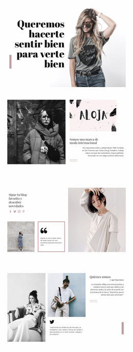 Impresionante Plantilla Joomla Para Estilo De Moda