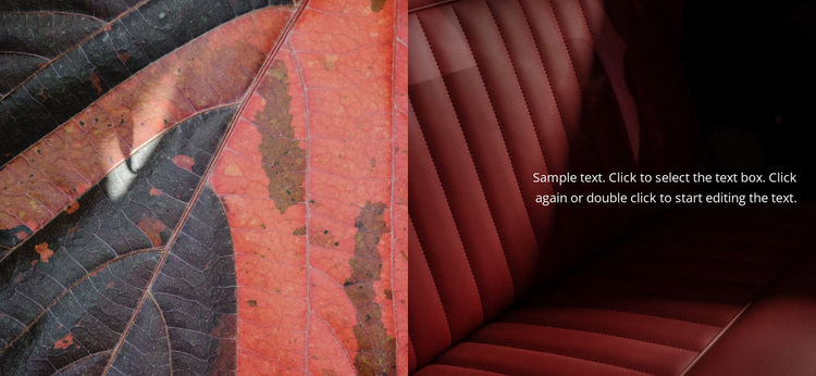 Textures in the gallery Website Design