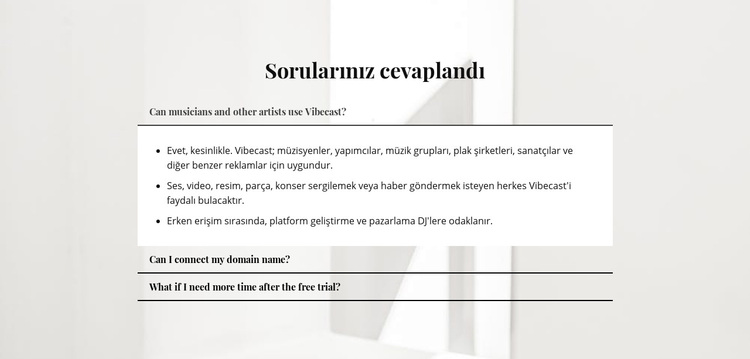 Önemli soruların cevapları WordPress Teması