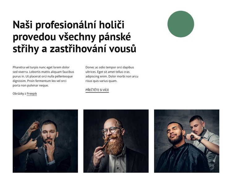 Naši profesionální holiči Šablona CSS