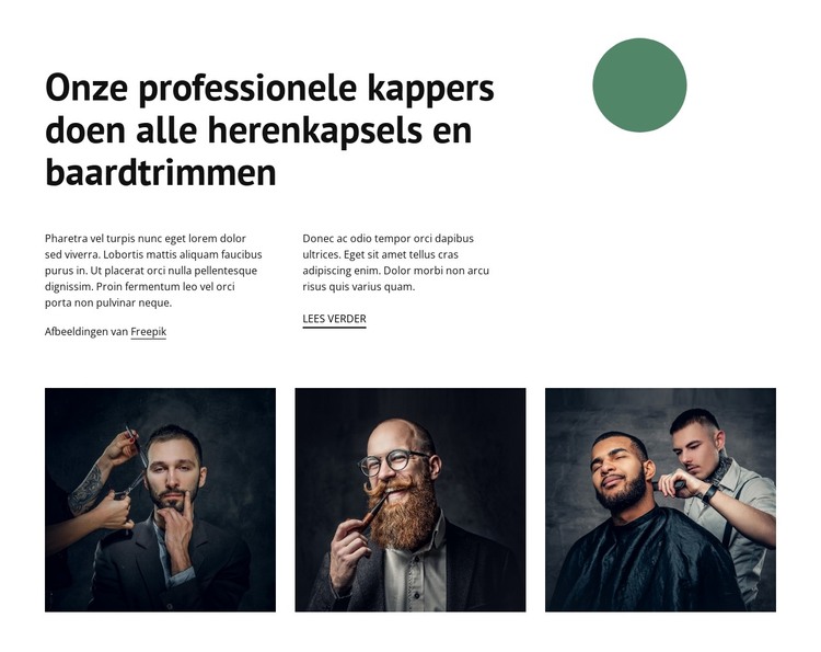 Onze professionele kappers HTML-sjabloon