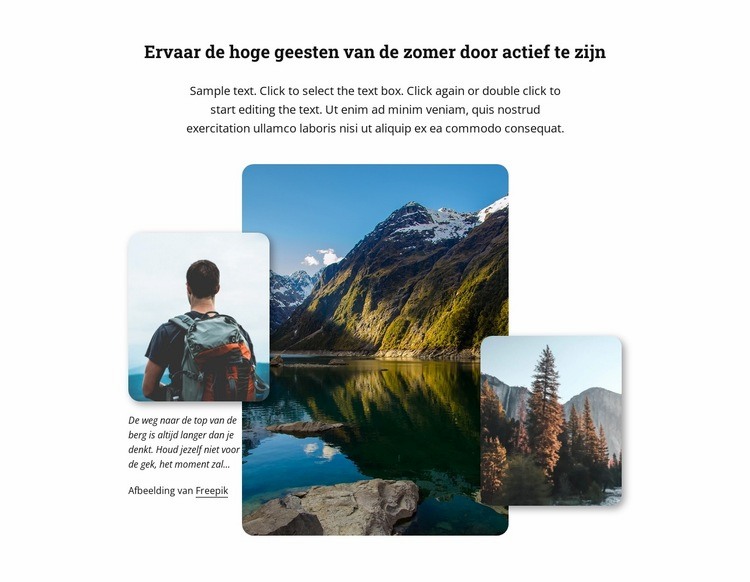 Wij zijn de experts in het ontwikkelen van Europese tours Website mockup