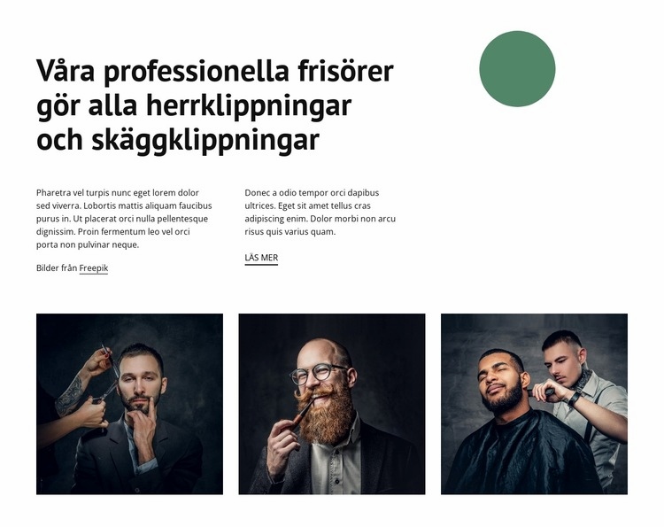 Våra professionella frisörer WordPress -tema