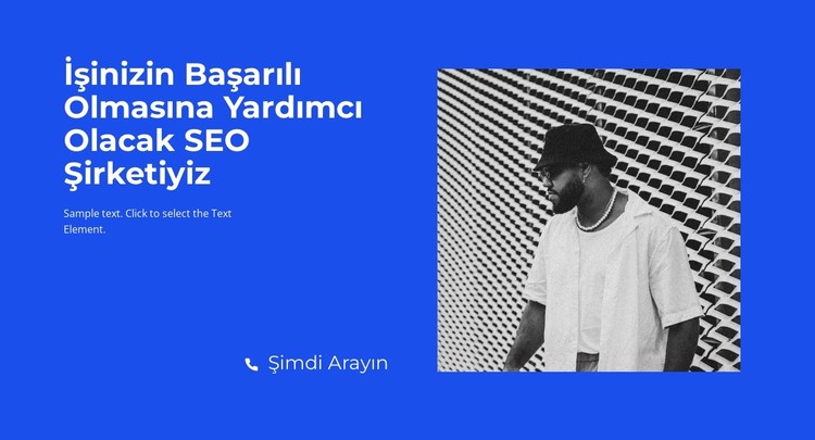 yardım hattı araması CSS Şablonu