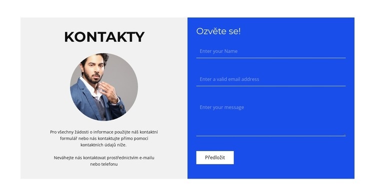 Konzultace na vyžádání Téma WordPress