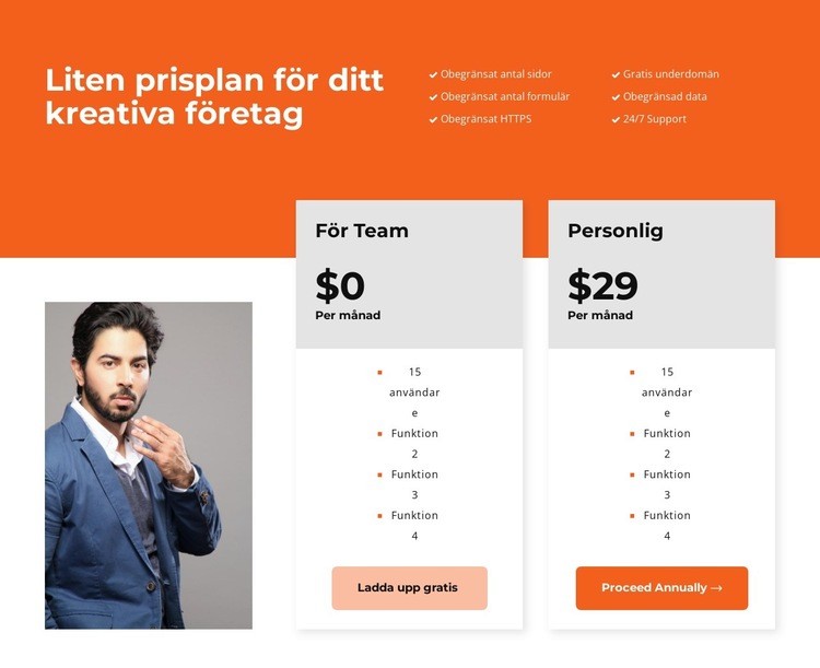 Att välja en bekväm tariff Hemsidedesign