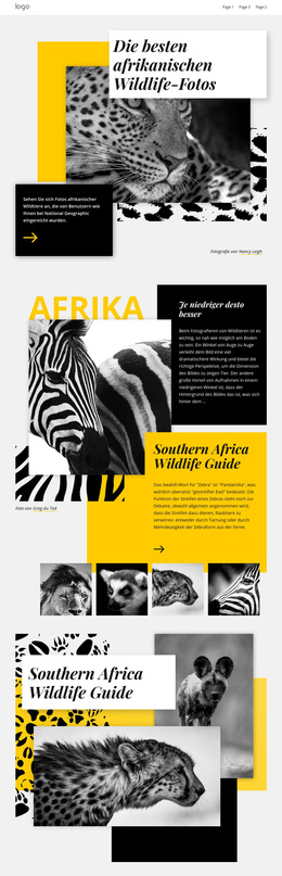Beste Afrikanische Fotos – Anpassbares, Professionelles WordPress-Theme
