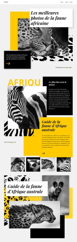 Meilleures Photos Africaines - Create HTML Page Online