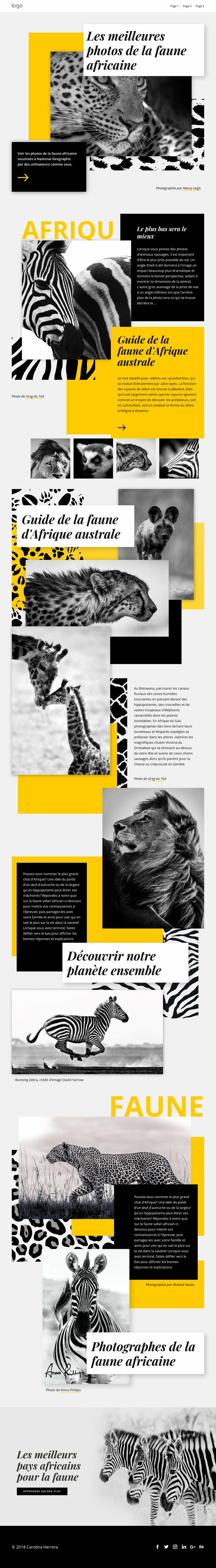 Meilleures photos africaines Créateur de site Web HTML