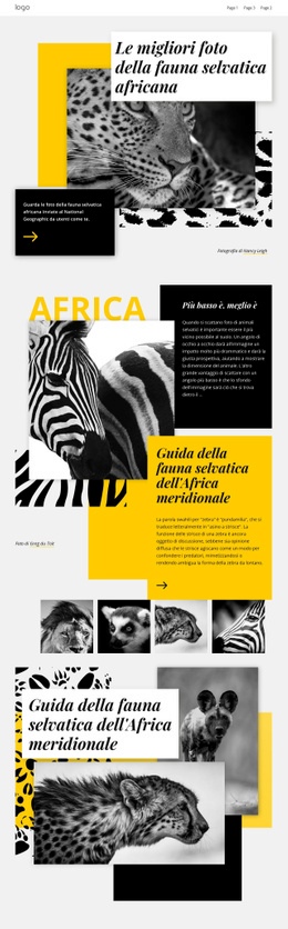 Le Migliori Foto Africane - Mockup Di Sito Web Moderno