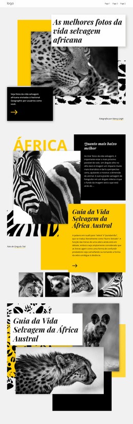 Página De Destino Multifuncional Para Melhores Fotos Africanas