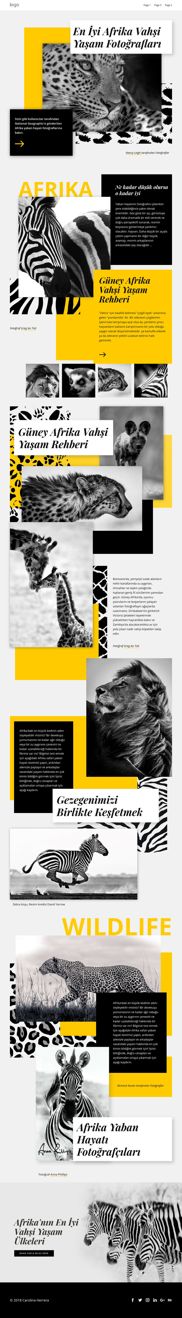 En İyi Afrika Fotoğrafları WordPress Teması