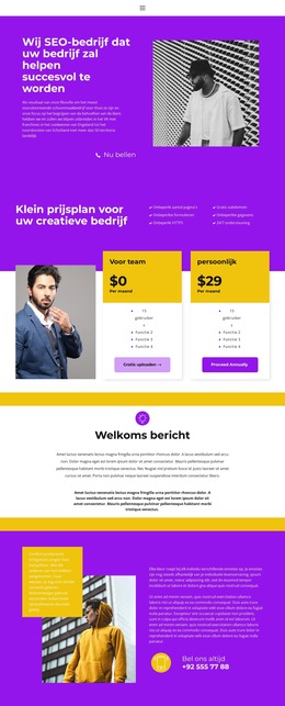 Snelle Succesvolle Start - Gratis CSS-Thema