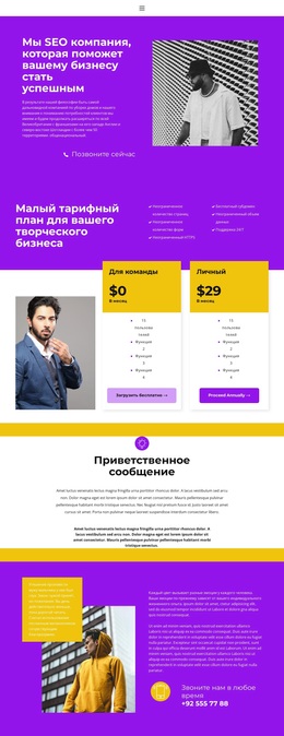 Быстрый Успешный Старт – Тема WordPress