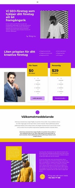 Snabb Framgångsrik Start Gratis CSS-Webbplatsmall