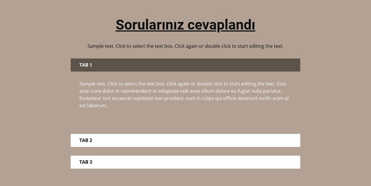 Popüler sorularınız Web sitesi tasarımı