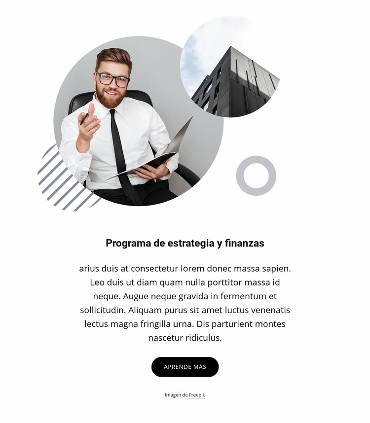 Programa de estrategia y finanzas Diseño de páginas web