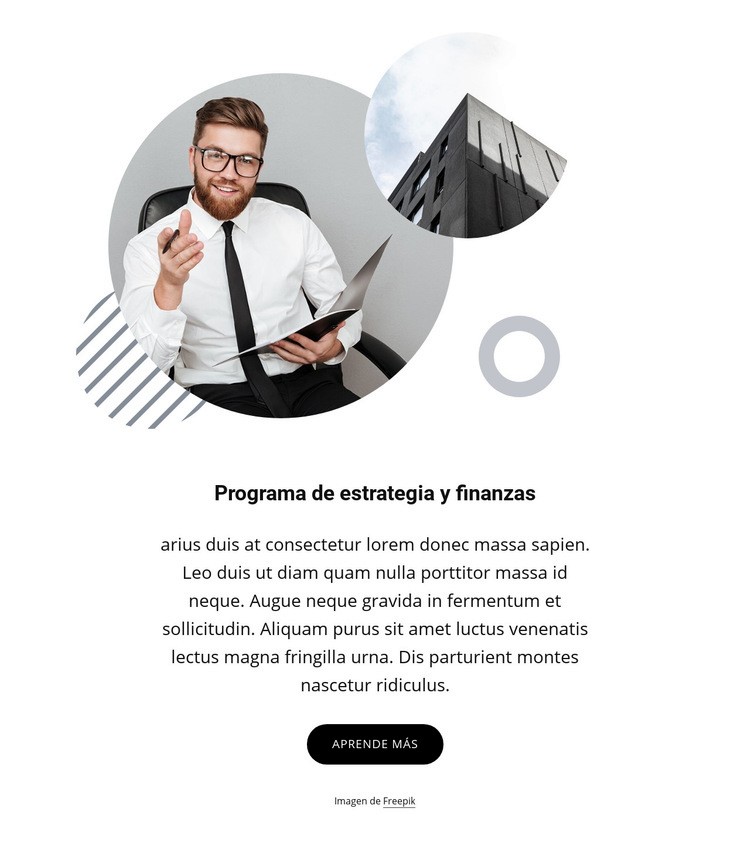 Programa de estrategia y finanzas Maqueta de sitio web