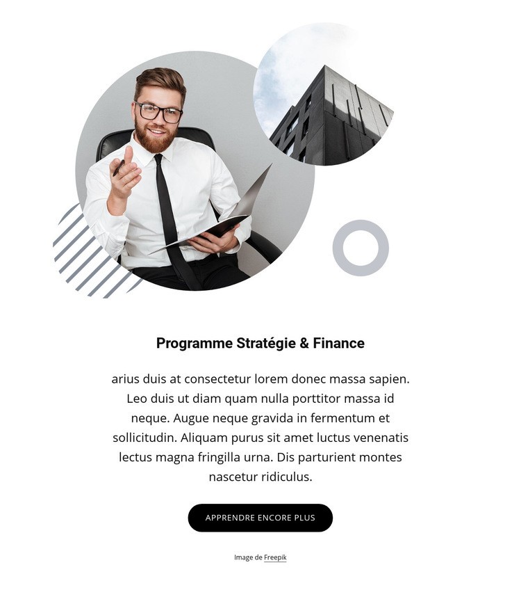 Programme stratégique et financier Modèle d'une page