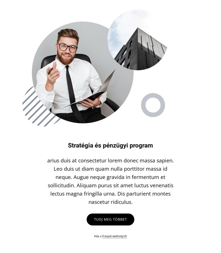 Stratégiai és pénzügyi program Weboldal sablon