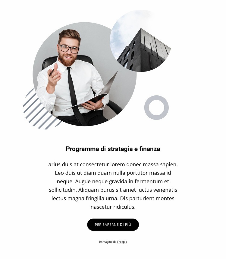 Programma strategico e finanziario Progettazione di siti web