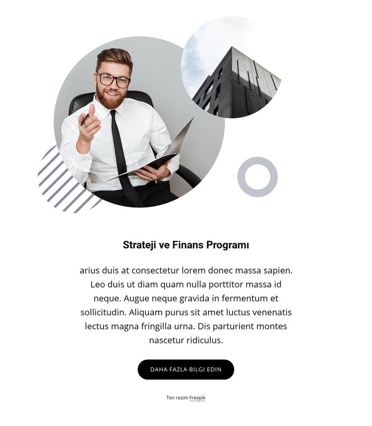 Strateji ve finans programı Web Sitesi Mockup'ı