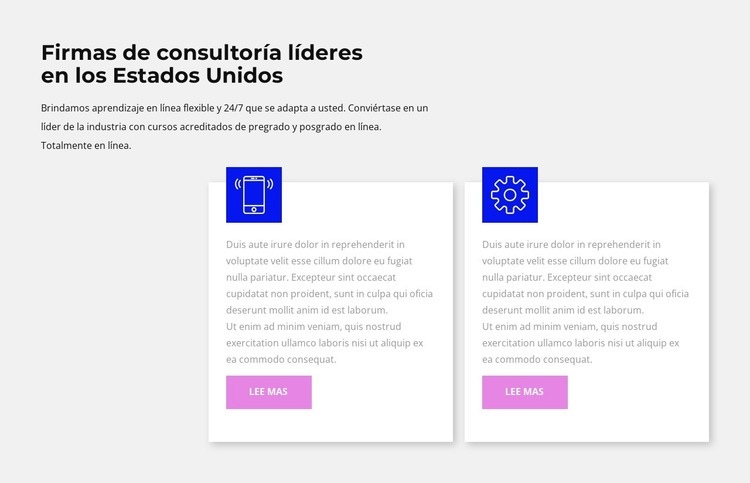 nivelación rápida Diseño de páginas web