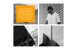 Een Klein Deel Van Het Project - WordPress- En WooCommerce-Thema