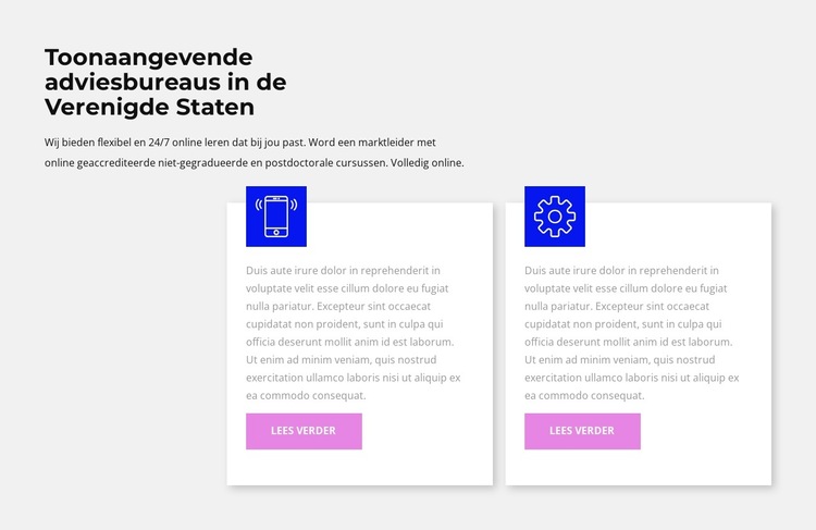 Snel nivelleren Website sjabloon