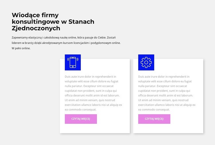 Szybkie poziomowanie Projekt strony internetowej