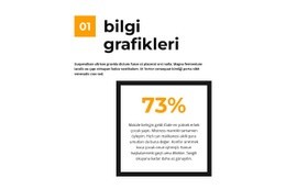 Basit Kelimelerle Infografikler - Design HTML Page Online