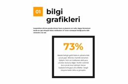 Basit Kelimelerle Infografikler Için Joomla Sayfa Oluşturucu