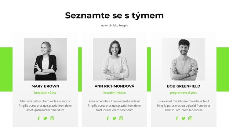 Online konzultanti Šablona CSS