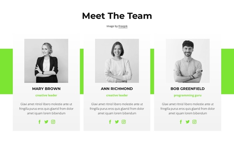 Online Consultants CSS Template