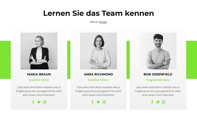 Online-Berater Website Builder-Vorlagen