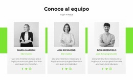 Consultores En Línea - HTML Template Generator