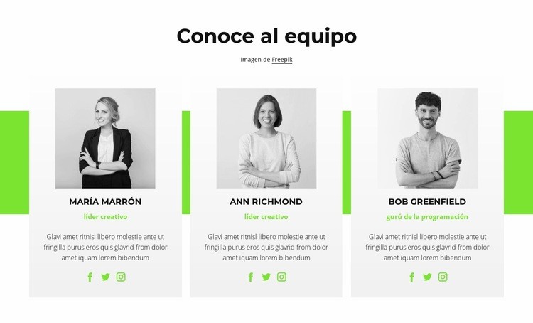 Consultores en línea Plantillas de creación de sitios web