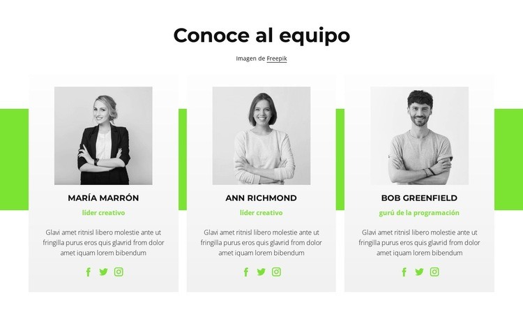 Consultores en línea Plantilla HTML5